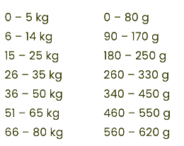 {{brizy_dc_image_alt imageSrc=