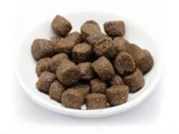 Reico MaxiDog Energy Trockenfutter