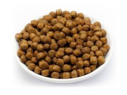 Reico MaxiDog Junior Trockenfutter